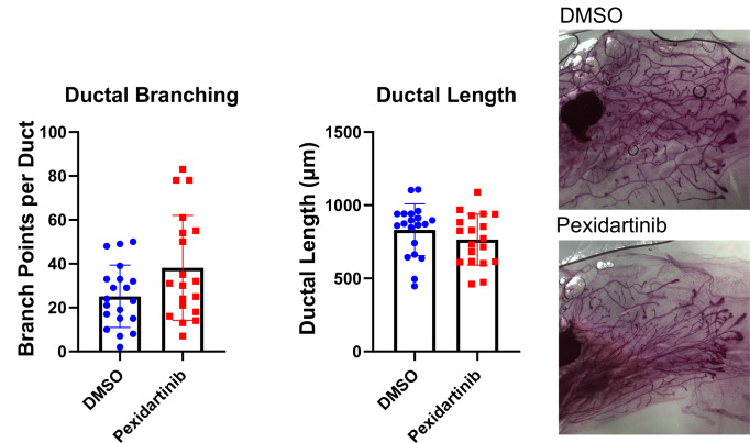 Figure 6—figure supplement 1.