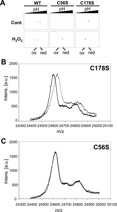 FIGURE 3.