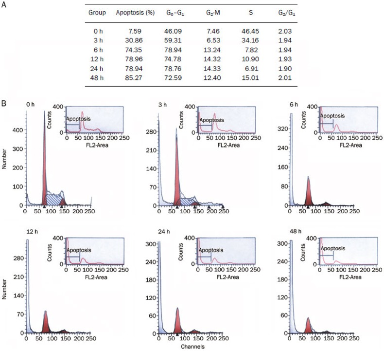 Figure 6