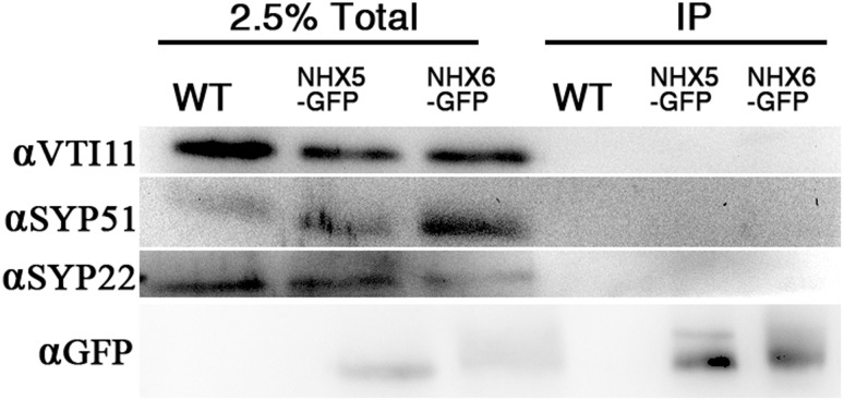 Fig 10