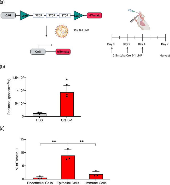 FIGURE 3