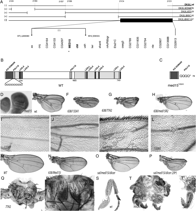 Figure 7.—