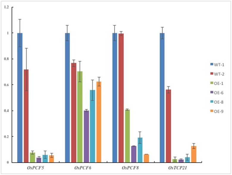 FIGURE 3