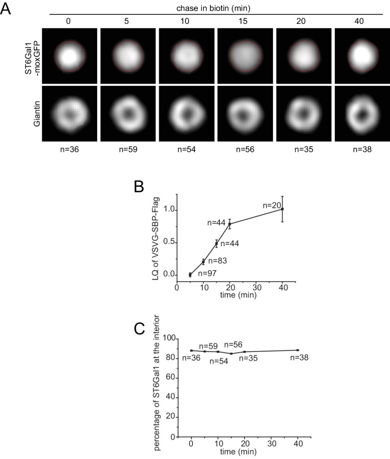 Figure 5—figure supplement 2.