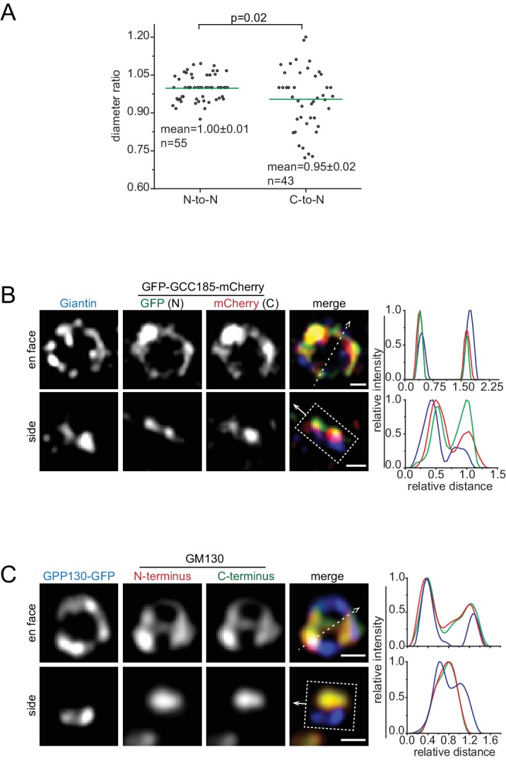 Figure 1—figure supplement 2.