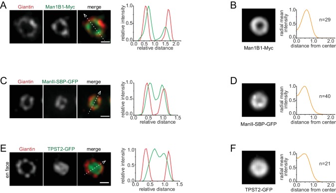 Figure 4—figure supplement 2.