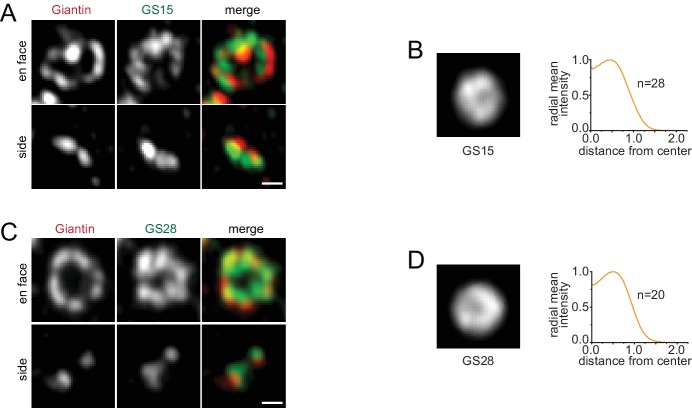 Figure 3—figure supplement 1.