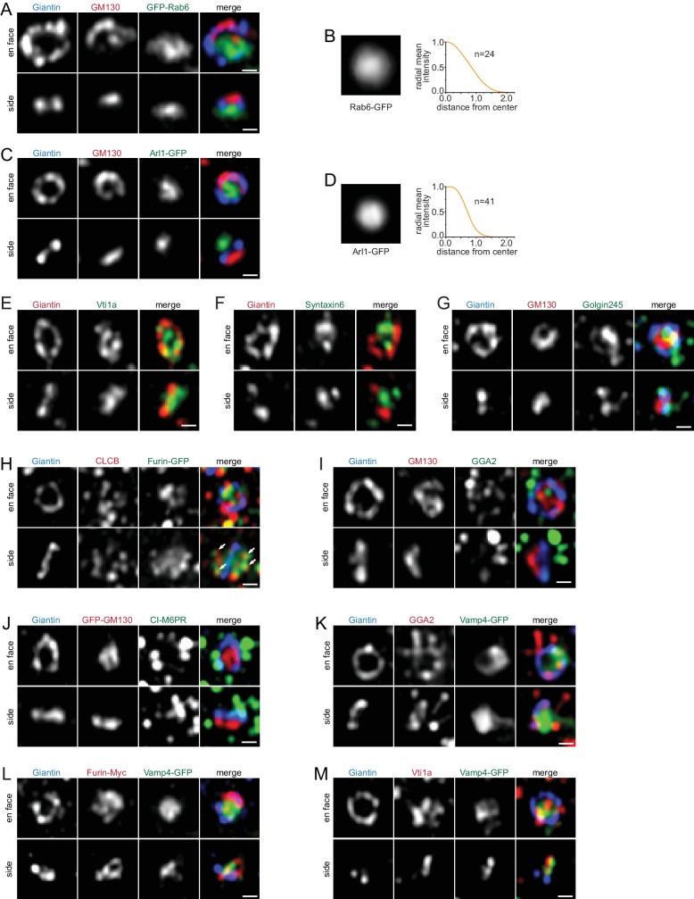 Figure 3—figure supplement 2.