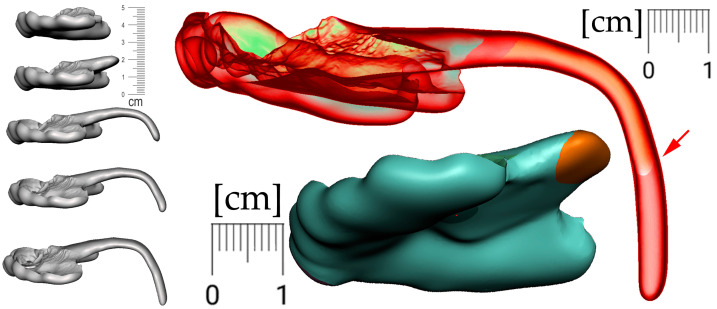 Figure 18