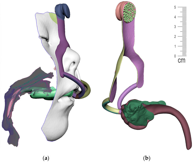 Figure 20