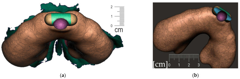 Figure 10