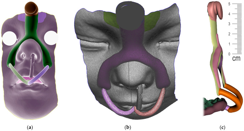 Figure 19