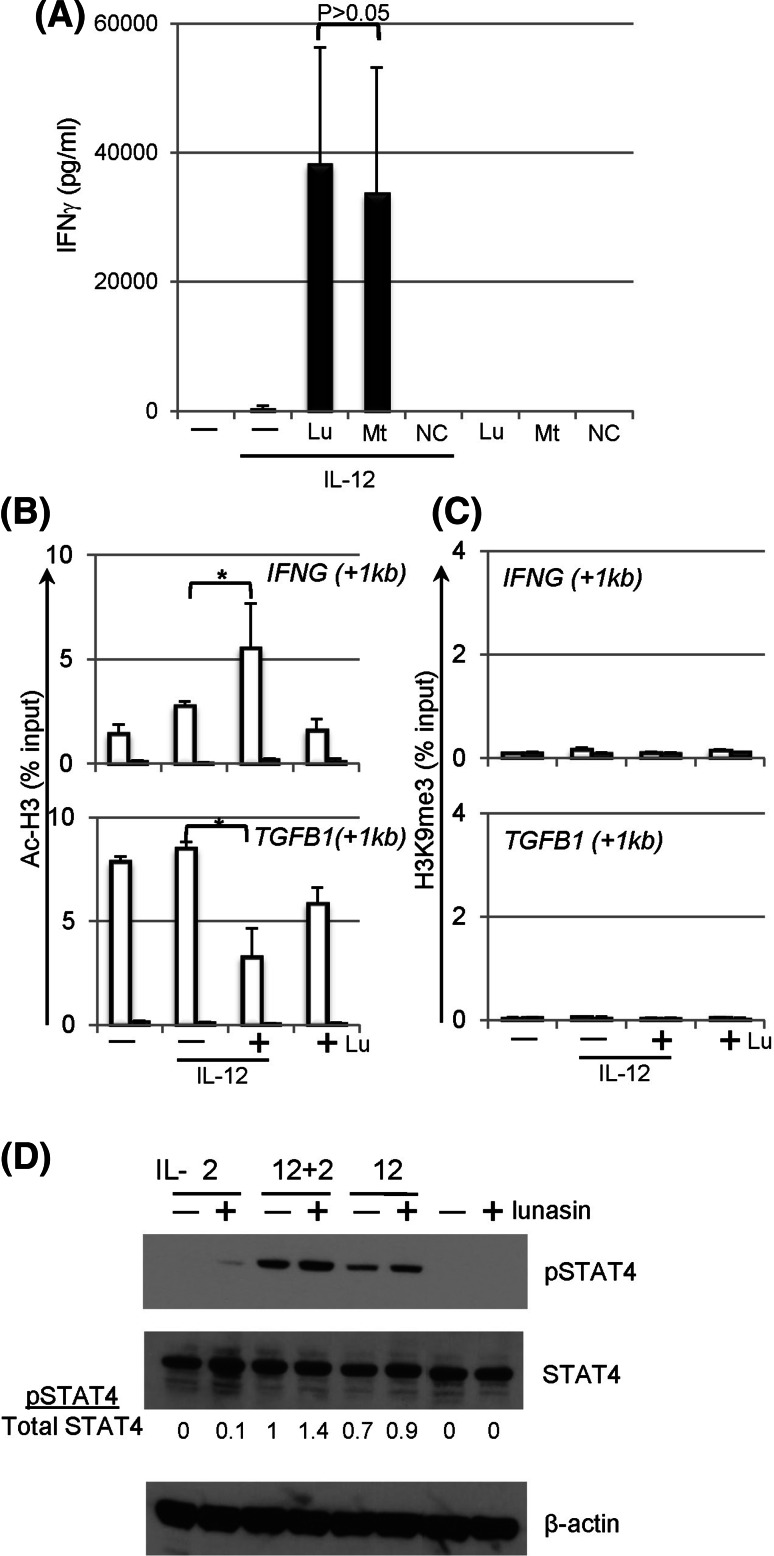 Fig. 6