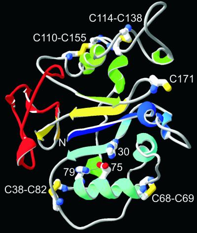 FIG. 7.