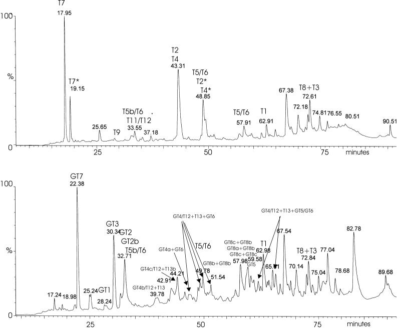 FIG. 2.