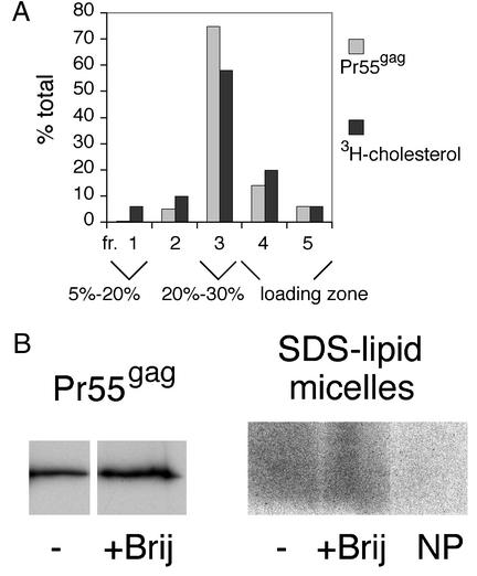 FIG. 8.