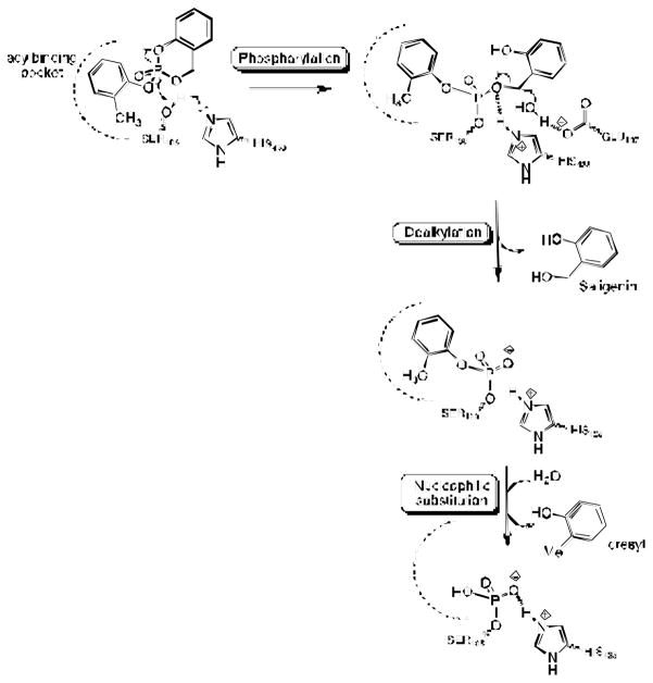 Scheme 5