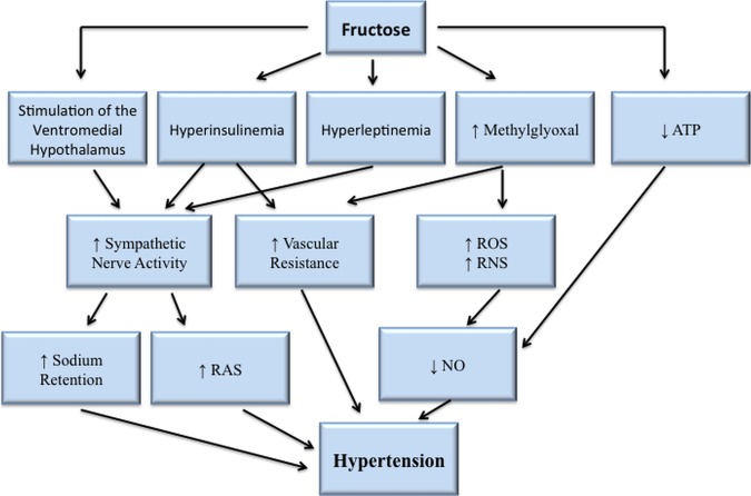 Figure 2