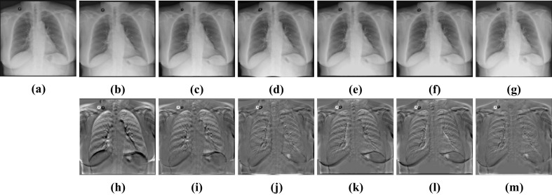 Fig. 14