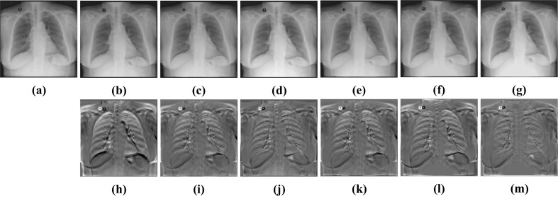 Fig. 17