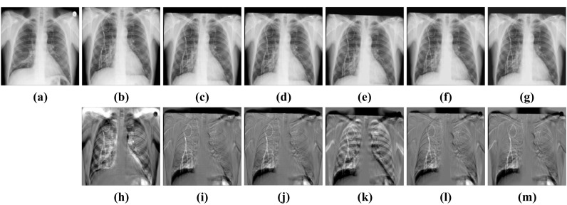 Fig. 5