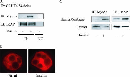 FIG. 7.