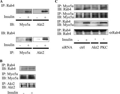 FIG. 8.