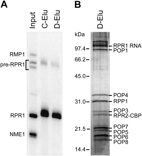 FIGURE 1.