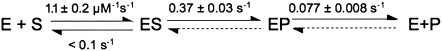 Scheme 2.