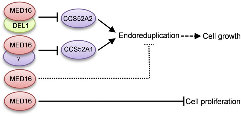 Figure 7.