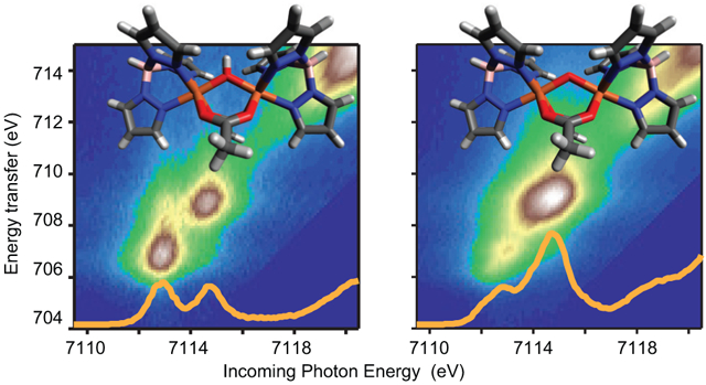graphic file with name nihms-1680603-f0001.jpg