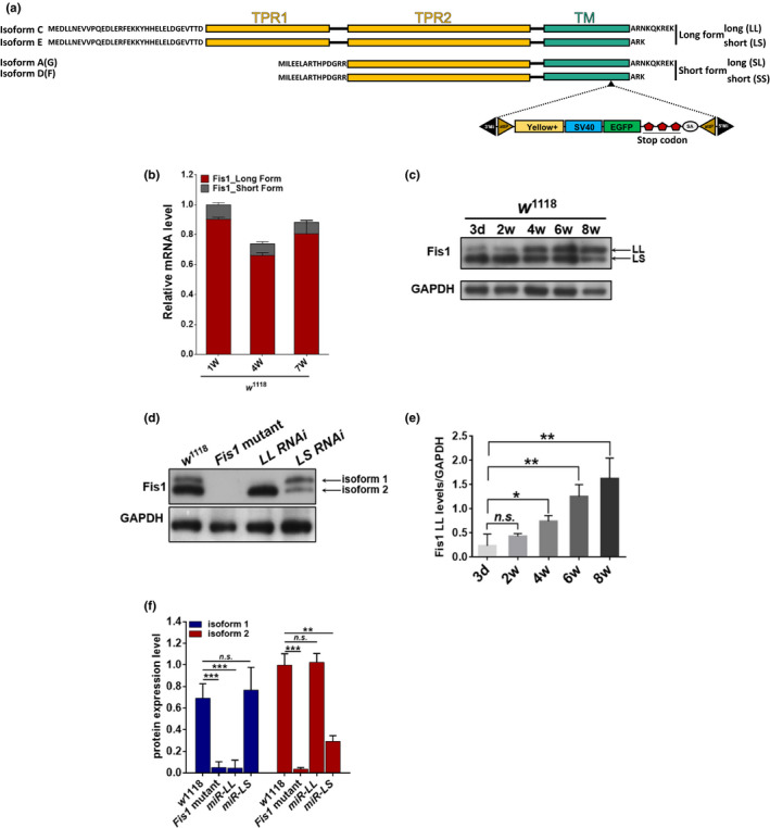 FIGURE 1