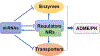 Fig. (1).