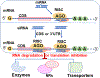 Fig. (2).