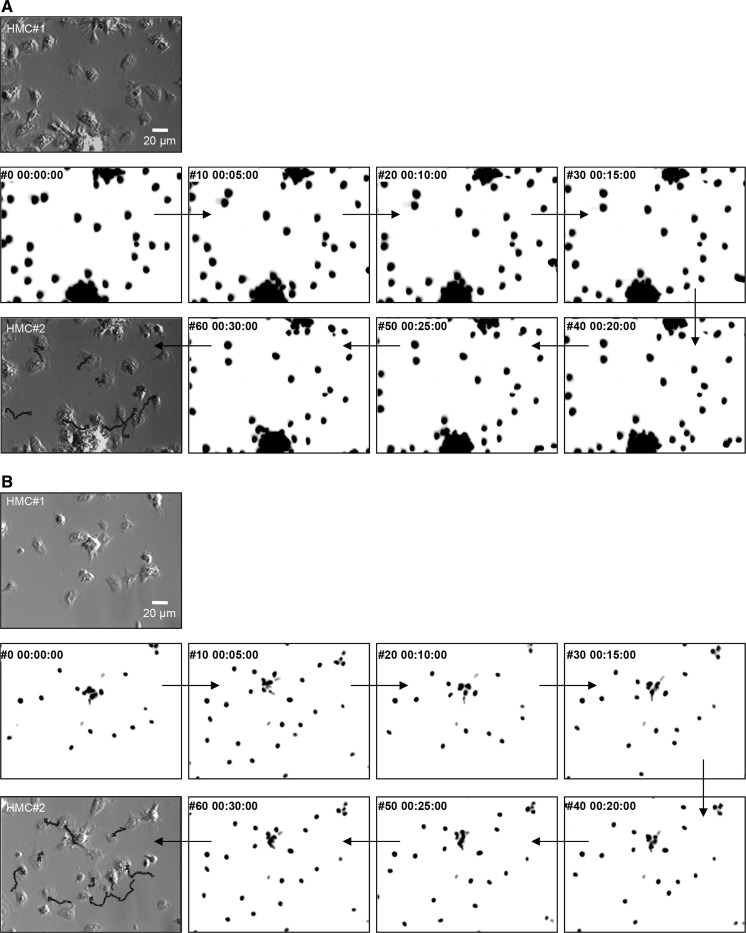 Fig. 3