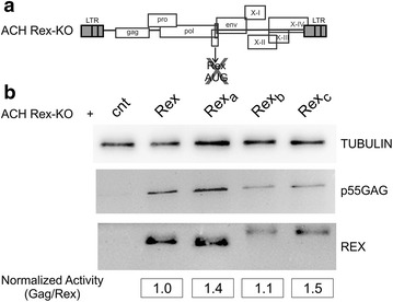 Figure 5