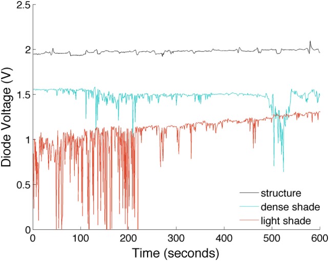 Figure 5