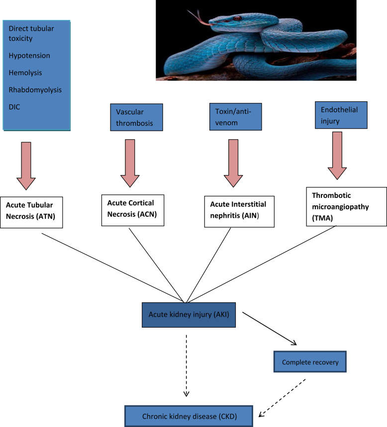 Figure 1