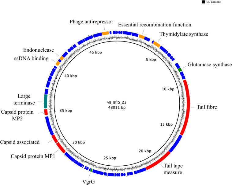 FIGURE 2