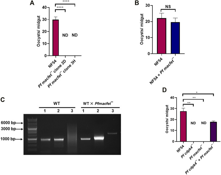 FIGURE 6