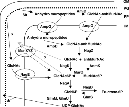 FIG. 1.