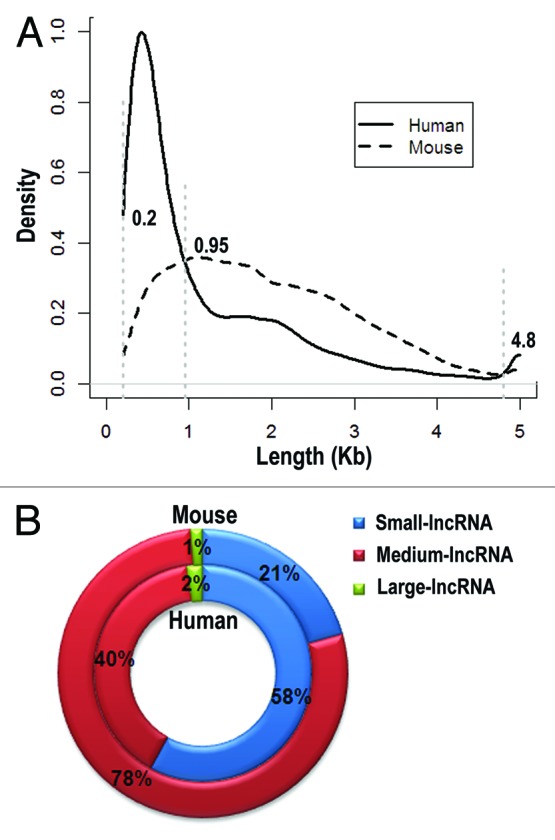 graphic file with name rna-10-924-g3.jpg