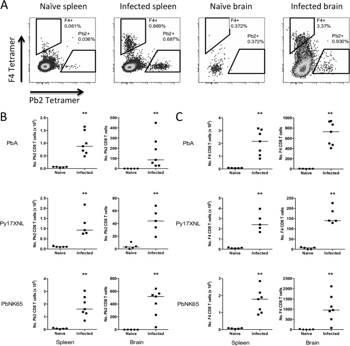 FIG 3