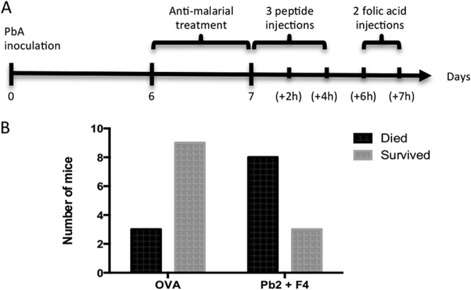 FIG 6