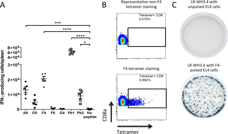 FIG 2