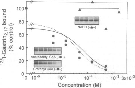 graphic file with name pnas01138-0223-a.jpg