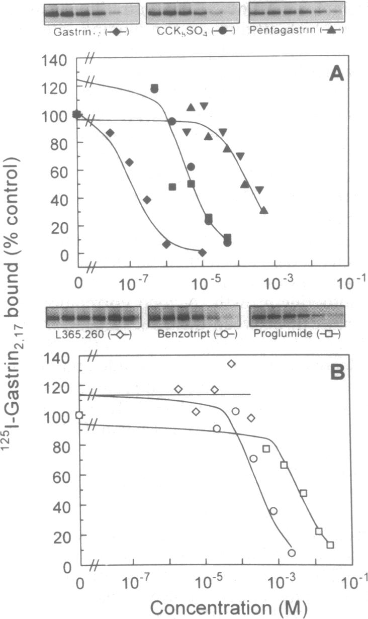 graphic file with name pnas01138-0224-a.jpg