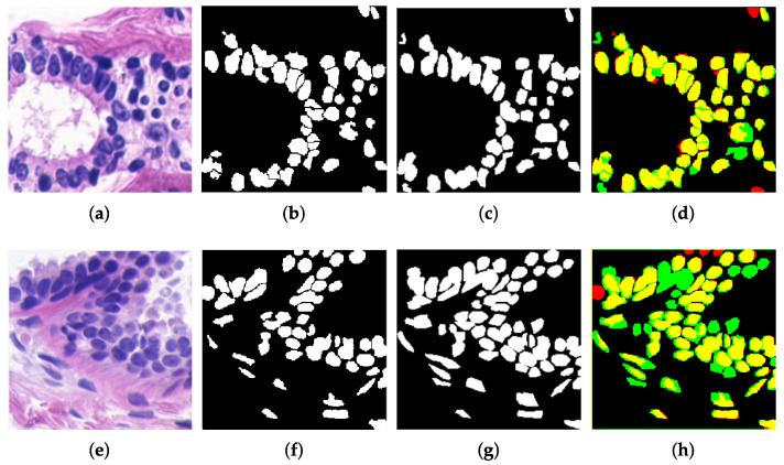 Figure 12