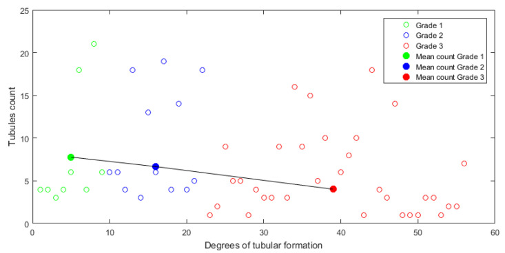 Figure 17