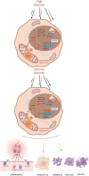 Fig. 2